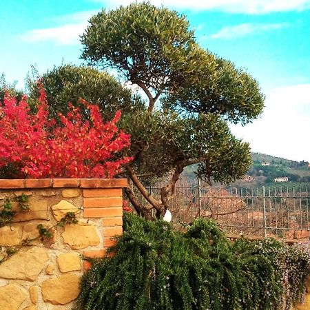 Olivo Bonsai Hotell Passignano sul Trasimeno Exteriör bild