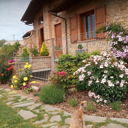 Olivo Bonsai Hotell Passignano sul Trasimeno Exteriör bild