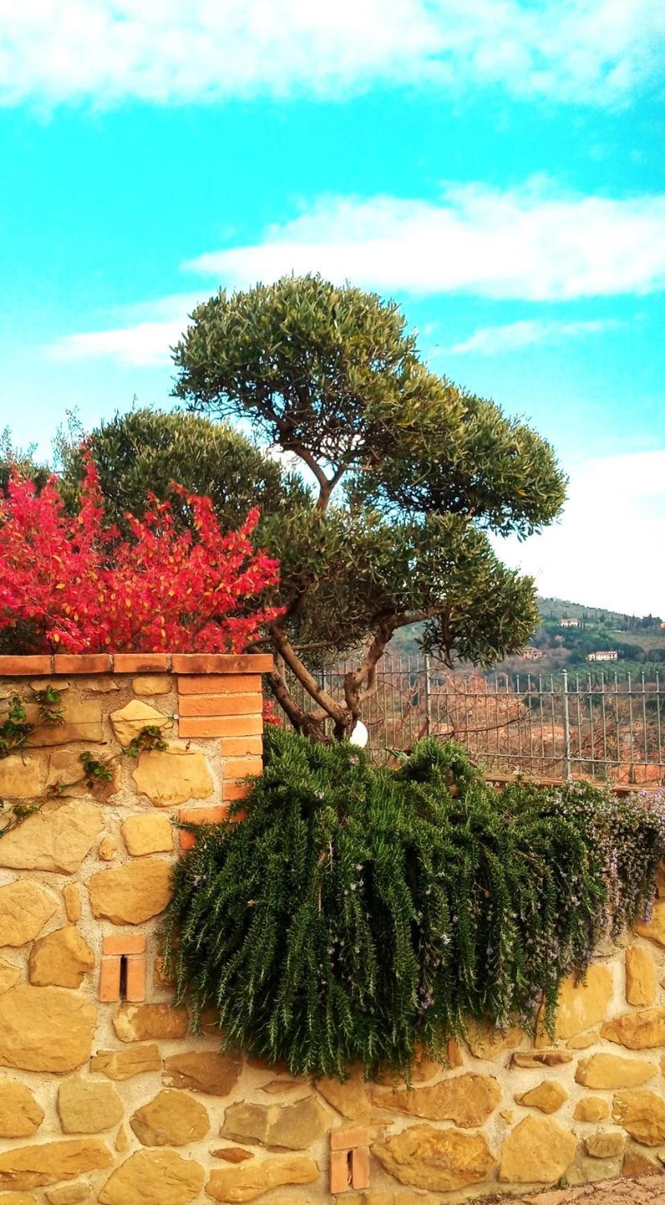 Olivo Bonsai Hotell Passignano sul Trasimeno Exteriör bild