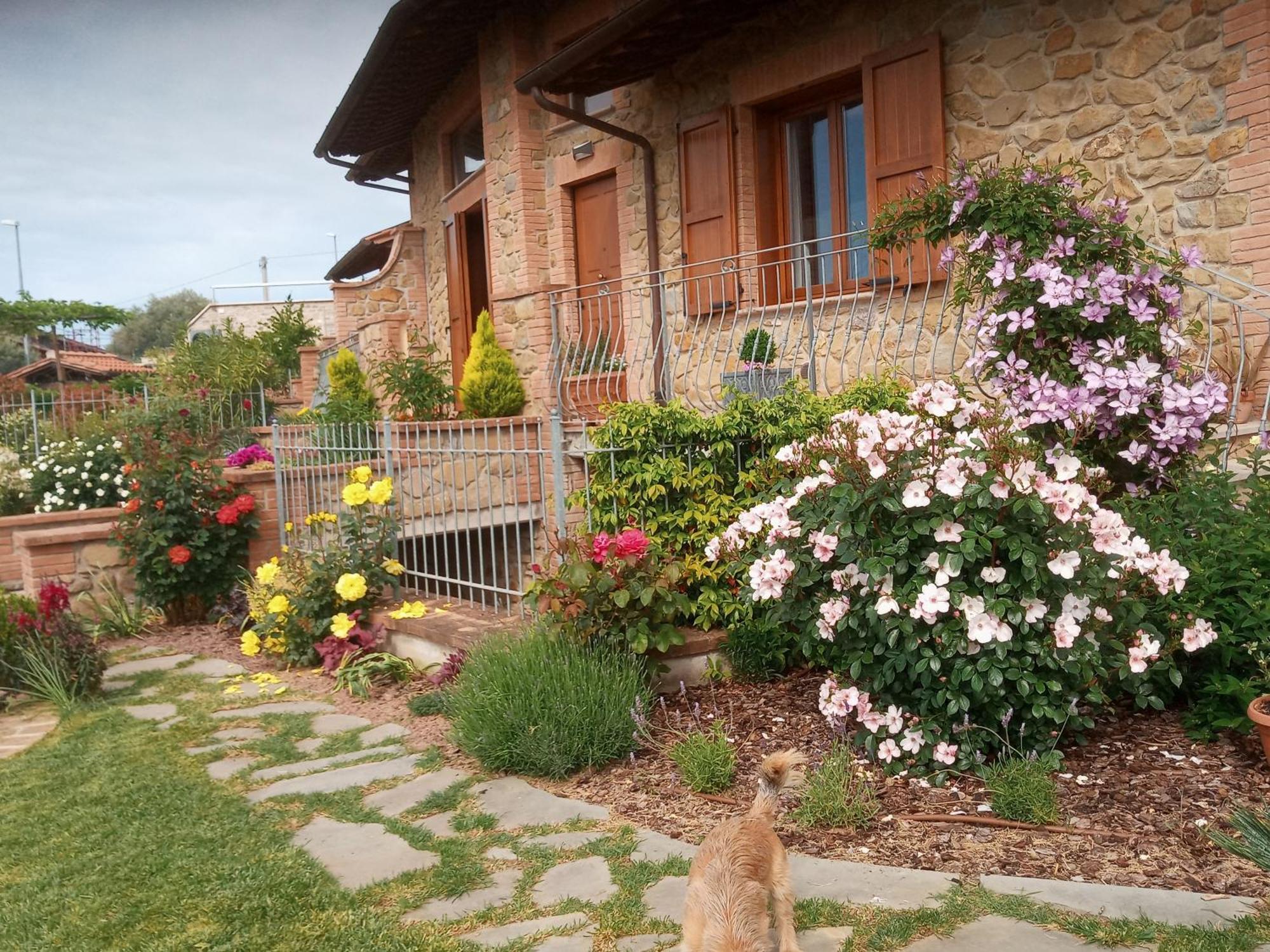 Olivo Bonsai Hotell Passignano sul Trasimeno Exteriör bild